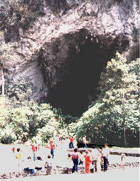 postvir.jpg (8948 bytes)